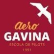 aerogavina